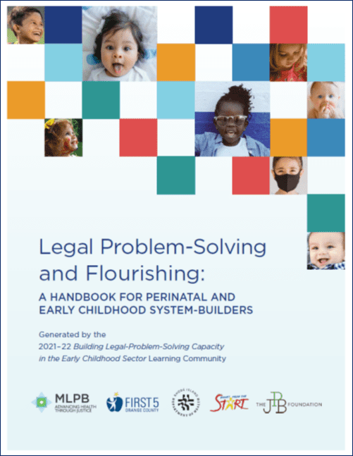 Legal Problem-Solving and Flourishing